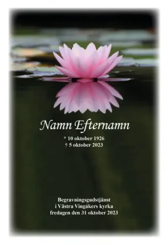 Programkort Rosa näckros